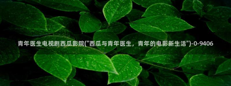 西瓜影院理论片在线观看