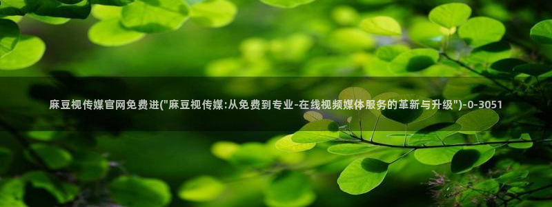 麻豆视频 更新视频：麻豆视传媒官网免费进(\