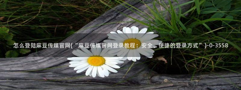 麻豆 最新在线看：怎么登陆麻豆传媒官网(“麻豆传媒官网登