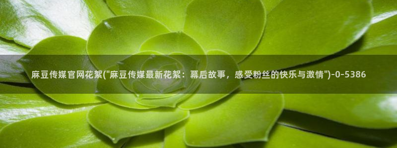 麻豆视频入口更新：麻豆传媒官网花絮(\