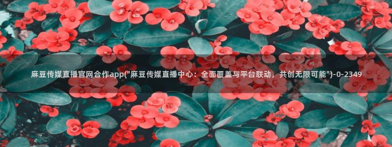 麻豆视频在线看整理：麻豆传媒直播官网合作app(