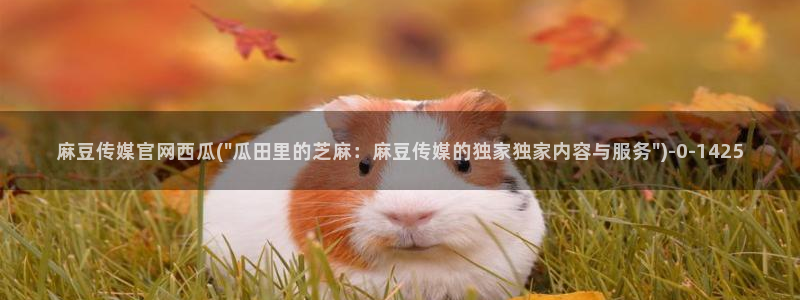 麻豆视频导航：麻豆传媒官网西瓜(\