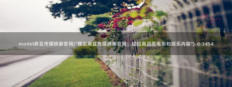 麻豆视频 专区页面：model麻豆传媒映画官网(
