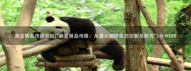 麻豆视频 导航：麻豆精品传媒官网(\