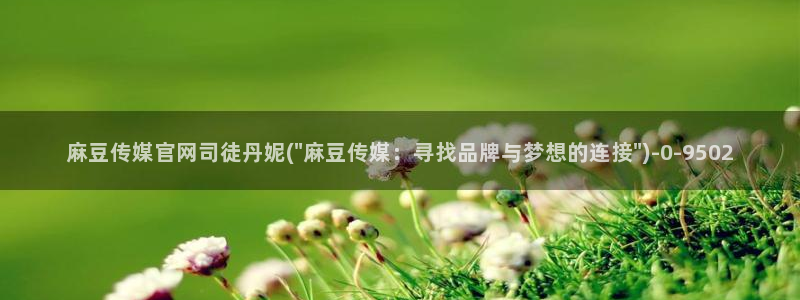 麻豆 更新合集：麻豆传媒官网司徒丹妮(\