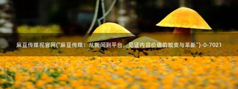 麻豆 合集合集：麻豆传媒视官网(\