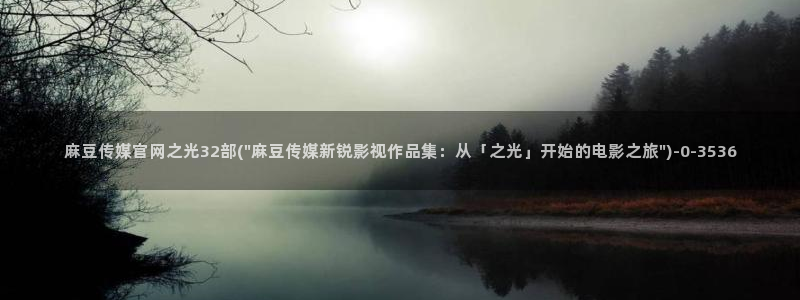 麻豆视频入口最新：麻豆传媒官网之光32部(\