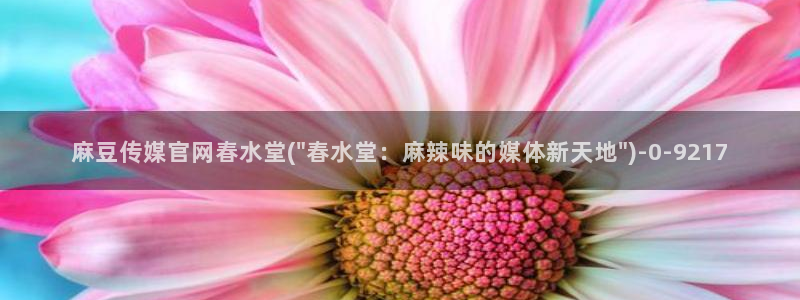 麻豆视频最新页面：麻豆传媒官网春水堂(\
