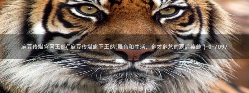 麻豆更新推荐：麻豆传媒官网王然(\