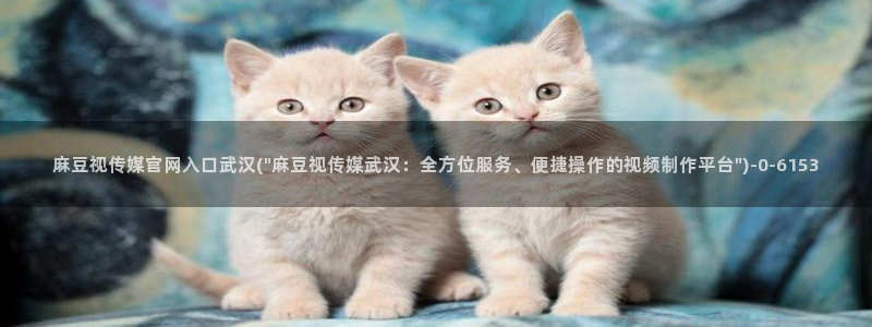 麻豆视频内容推荐：麻豆视传媒官网入口武汉(\