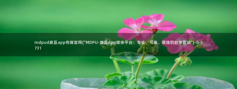 麻豆视频资源下载：mdpud麻豆app传媒官网(\