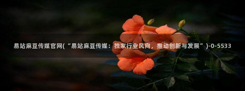 麻豆视频 热门资源：易站麻豆传媒官网(“易站麻豆传媒：独家行业风向，推动创新与发展”)