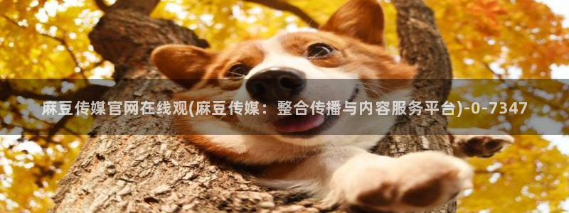 麻豆 下载下载：麻豆传媒官网在线观(麻豆传媒：整合传播与