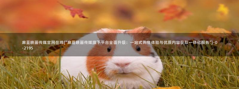 麻豆视频官方更新