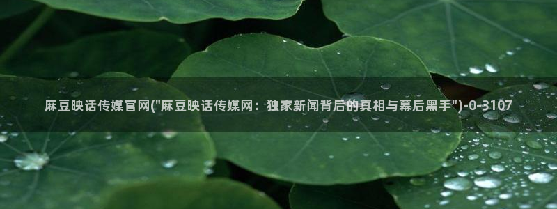 麻豆官方视频：麻豆映话传媒官网(\