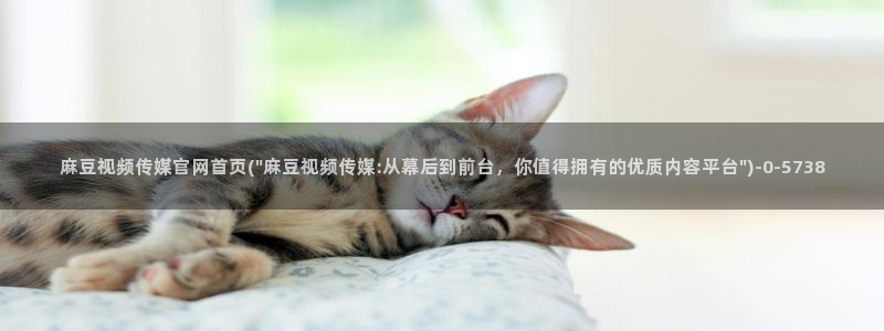 麻豆视频精选专区：麻豆视频传媒官网首页(\