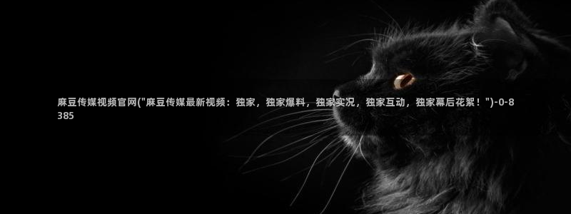 麻豆视频高清整理